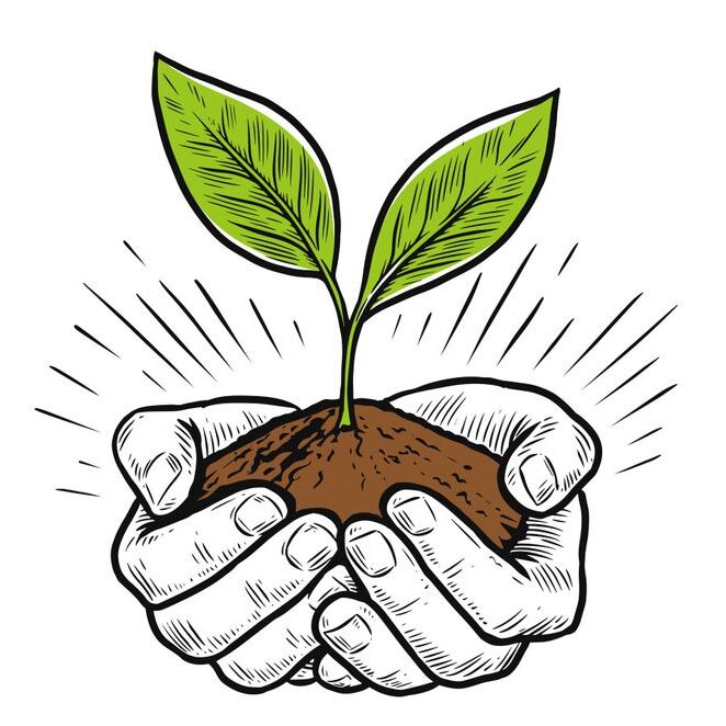 hands caring for growing plant – royalty free vector vectorstock