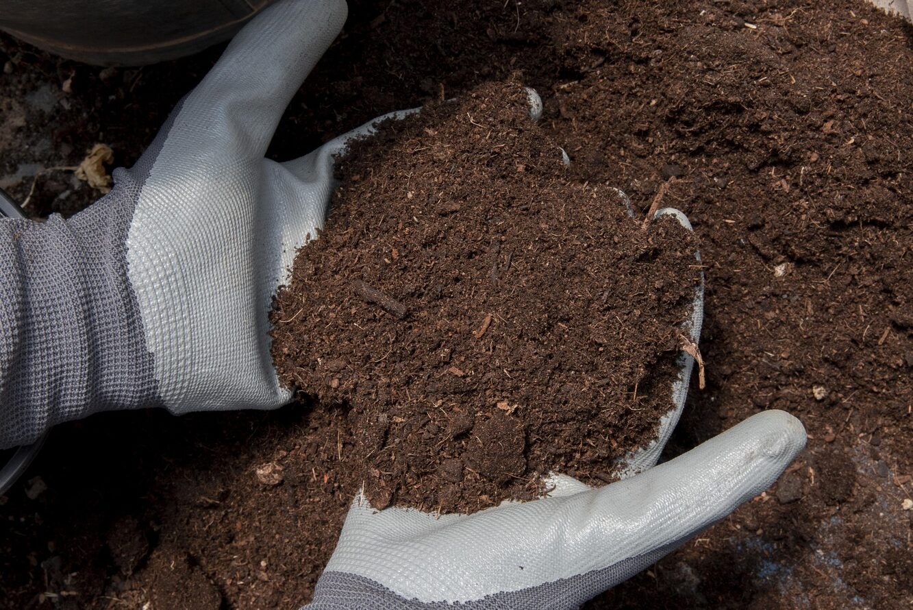 compost still life concept