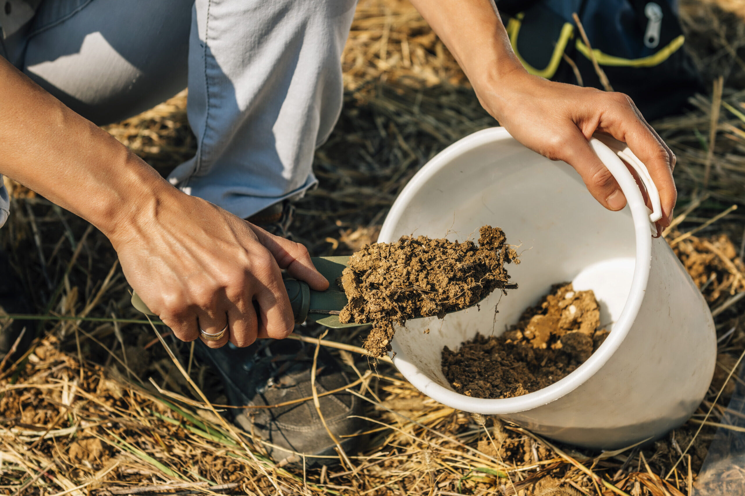 soil fertility analysis. female agronomist taking soil samples